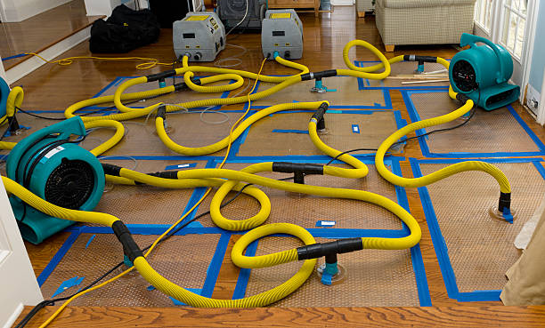 Professional Flood Damage Restoration technician working in Six Lakes, MI